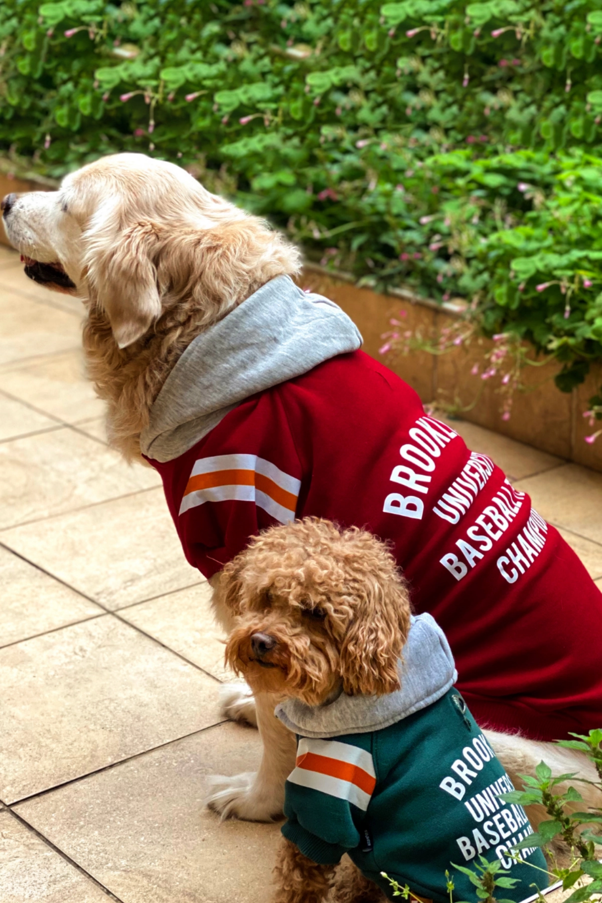 Brooklyn Köpek Kıyafeti